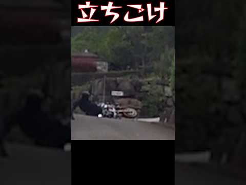 【バイク】Uターン失敗で立ちゴケ【転倒】#shorts #shortvideo