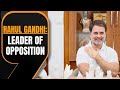LIVE: Rahul Gandhi Named as LoP |  Lok Sabha gets LoP after 10 years | News9