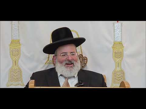 הרב יצחק לוי | רב העיר נשר | הנאה ממעשה שבת חלק ב | קורח תשפ"ו