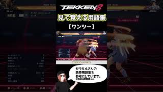 【鉄拳8】見て覚える用語集【ワンツー】