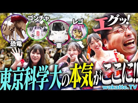 【理系最強の祭典】折り紙・レゴ・車まで！？東京科学大のガチすぎる学祭が異次元すぎた！【wakatte TV】#1338