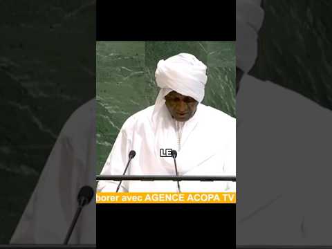 ONU : le Niger dénonce la France et ses supplétifs terroristes !  #niger #mali