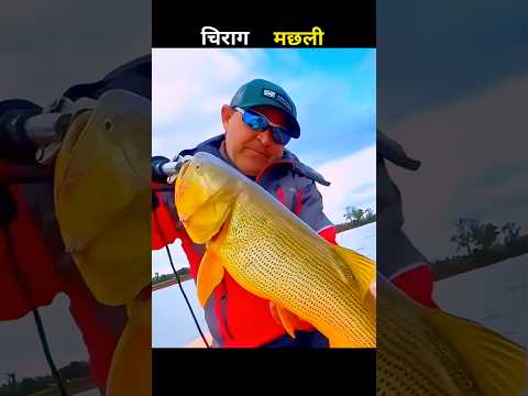 चिराग मछली 😱 #aivideo #fishing #fascinatinginformation #amazingfacts #facts #youtubeshort #bigfish
