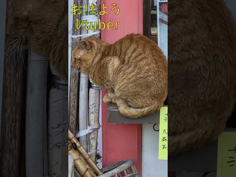 thumbnail_82W4emjT9Fw