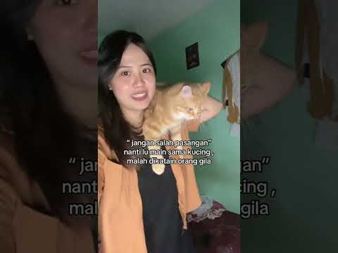 jangan salah pasangan ygy #shortvideo #cat #kucinganggoralucudanimut