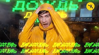 Александр Гудков — Дождь
