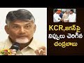 Chandrababu comments against KCR, Jagan