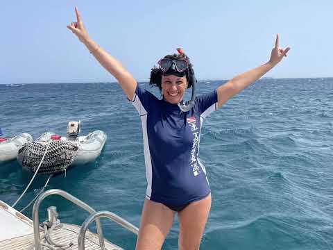 Nadar con delfines en libertad