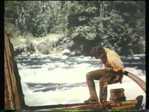 Davy Crockett and the River Pirates'