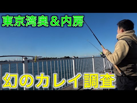 東京湾奥＆内房で幻のカレイを狙ってみた！