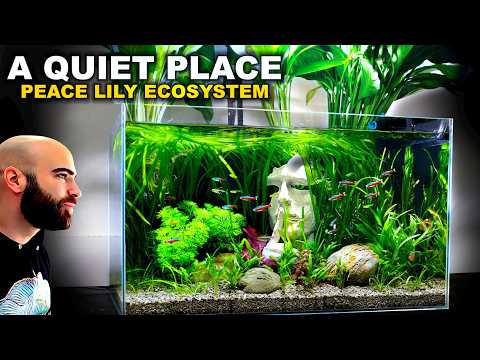 "A Quiet Place" PEACE LILY ECOSYSTEM AQUARIUM **I’m Speechless**