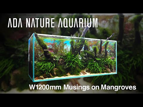 [ADAview] Musings on Mangroves マングローブに思いを馳せて  -W1200mm Nature Aquarium Layout-【EN/JP Sub.】