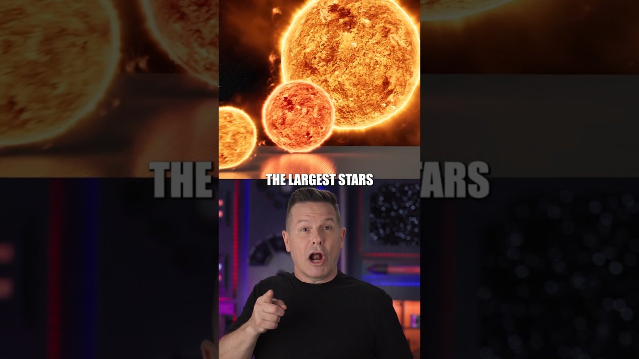 The Largest Stars in the Universe #Sun #Stars #Space #Planets #Shorts