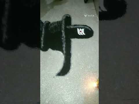 शिवलिंग स्पेशल रांगोळी#नरक चतुर्दशी#दिवस सोमवार#सोमवती अमावस्या#youtube video