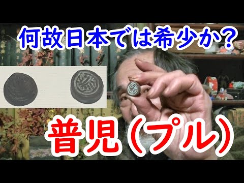 【古銭】何故知られていない！？普児（プル）を紹介！！！