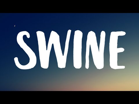 Demi Lovato - SWINE (Lyrics)