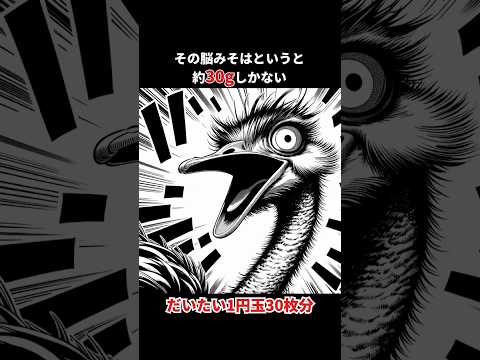 知能を捨てた最強の鳥ダチョウ#動物雑学 #ダチョウ#おもしろ雑学