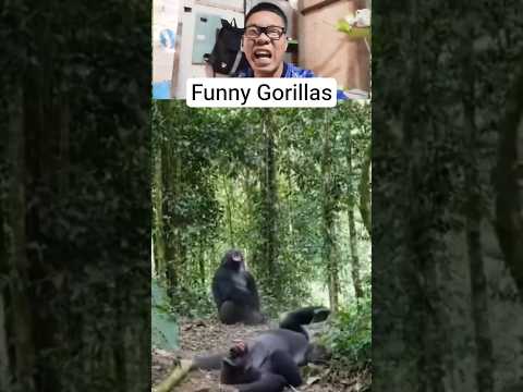 Ang tawa Ng Isa Ang nag Dala🤣#shorts