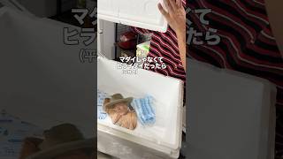 動画サムネイル
