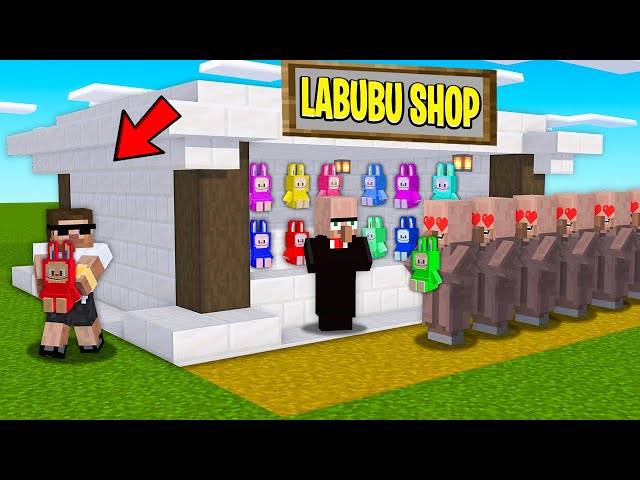 Stealing Labubu Doll from Drubin Store in Minecraft..