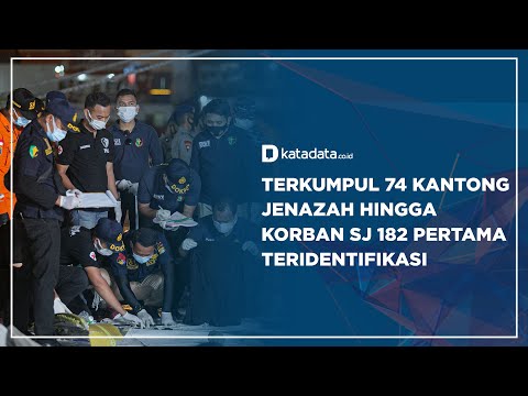 Terkumpul 74 Kantong Jenazah hingga Korban SJ 182 Pertama Teridentifikasi | Katadata Indonesia
