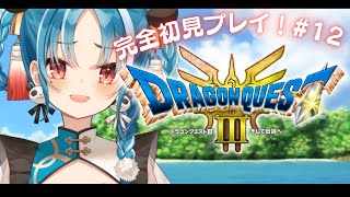 【ドラクエ3　リメイク】初見様大歓迎！ゾーマを倒しに地下世界へ！【＃月宮あお/＃パレプロ研究生】