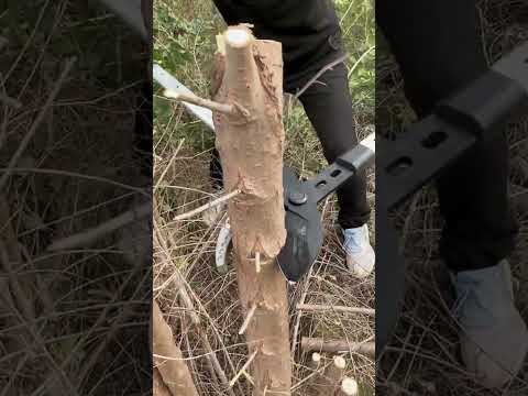 Gear-assisted pruning shears #ShareGoodTools #GardeningToolsSupportAgriculture
