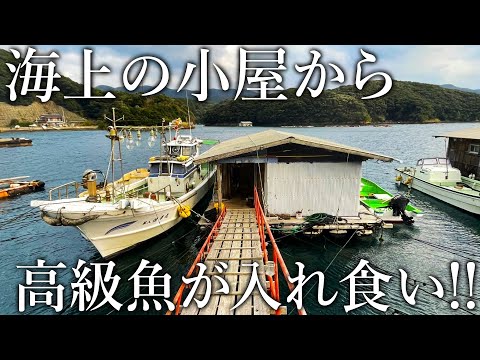 足元で高級魚が入れ食い！海上の一軒家で自由に釣りができる「漁師の民宿」が想像以上に釣れすぎました