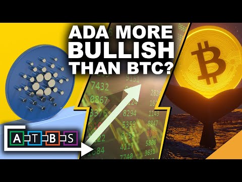 CARDANO More Bullish Than BITCOIN (.12 Billion Movement Between Whales!)