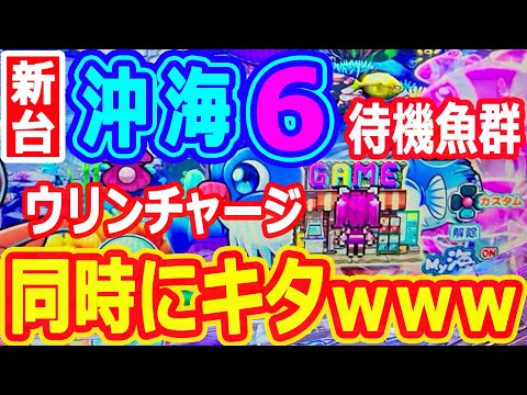 待機魚群とウリンチャージが同時にキタ♪♪『Pスーパー海物語IN沖縄6』