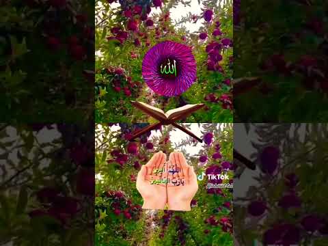 #aliahmedtalukder #beautiful #quran #reaction