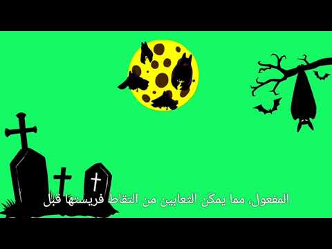 فرونس 24 دراسة حديتة توصل علماء دنماركيون إلى مضاد سم واسع النطاق يحمي من 15نوع من اصل 18