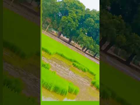 बड़ी-बड़ी👌 building#Nike#how#many# calories#🥰🥰🥰 youtube#viral#take#video