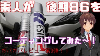 【KeePer】素人がプロ用ケミカルで86をコーティングしてみた～【Vtuber】