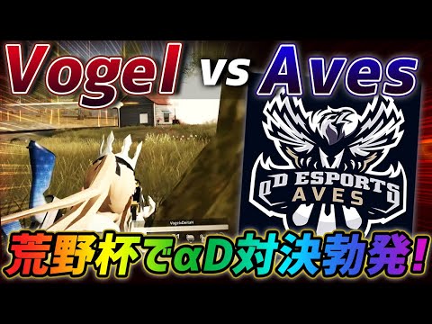 【荒野行動】αD直接対決勃発⁉️公式対決で起きたAves vs Vogelが激熱すぎたwww