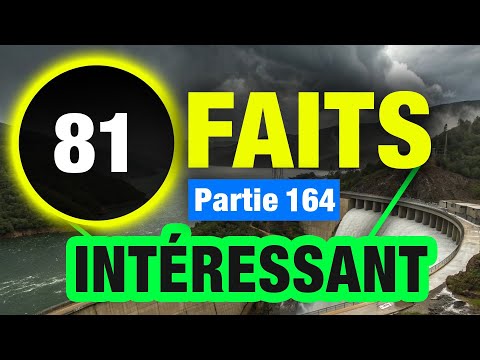 81 Faits Qui Feront De Vous Un Bon Conversateur
