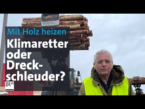 Wald unter Druck: Holz-Boom trotz Waldsterben | Die Story | Kontrovers | BR24