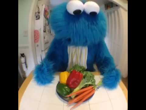 vines that keep me awake in the day