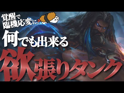 【ウディア vs セジュアニ】覚醒を駆使して臨機応変に戦え！なんでもできる欲張りタンク！！ 最強のウディア講座【DFM Evi解説】