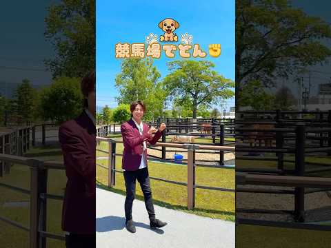 競馬場でどん🕺 #北海どん #北海道 #お祭りソング #北海道アーティスト #dance  #一緒に踊ろう #函館 #競馬場