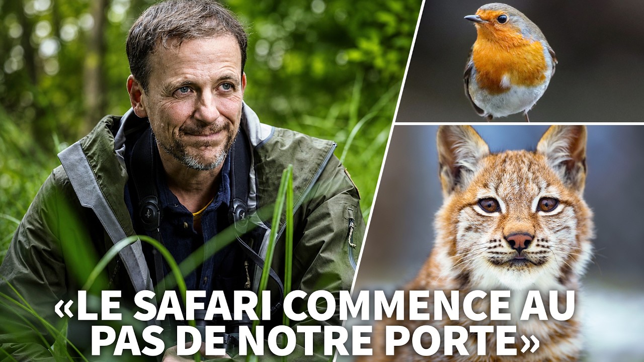 Nuit avec des ours, rencontre avec un lynx: le «kit de survie» de Julien Perrot face à l'éco-anxiété