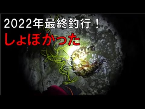 今年は最後の最後までしょぼかった´;ω;｀2022年もありがとうございました。