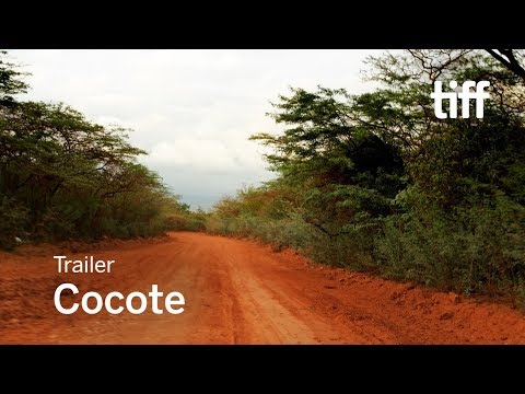Cocote'