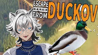 【Escape From Duckov】duck