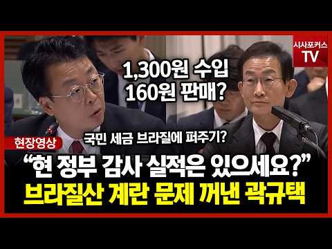 “현 정부 감사 실적 있으세요?” 묻더니… 브라질산 계란 문제 꺼낸 곽규택