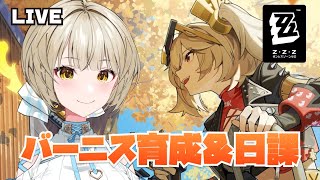 【ゼンゼロ】バーニス育成と日課やる！【さきねる/Vtuber】