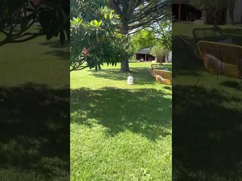 Vidéo de l’hébergement
