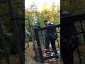 Officer rescues deer stuck in fence  - 00:31 min - News - Video