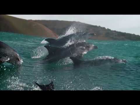 Oceans: Our Blue Planet'