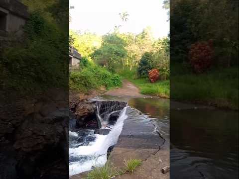 Sa tingin nyo guys bakit kaya nasira ang bridge?🤔🤔🤭 #naturelovers #bridge #youtubeshorts outu